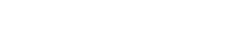 Blixi AI