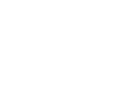 Vicox Legal